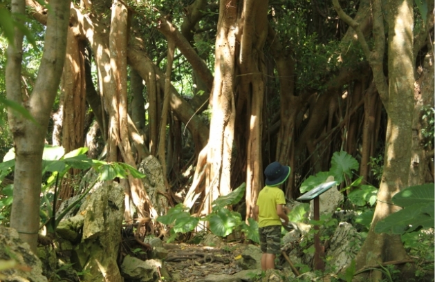 やんばる国立公園
